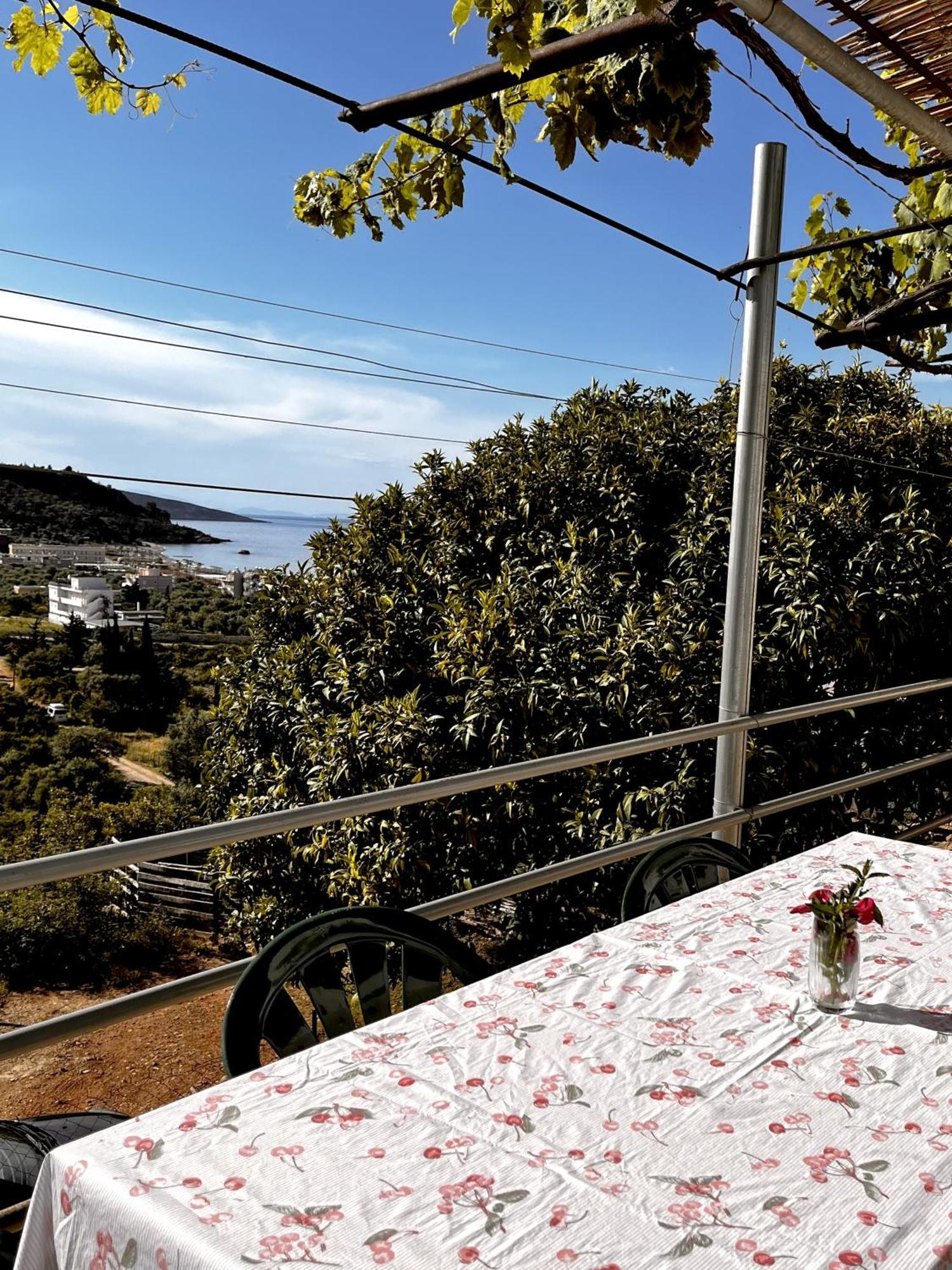 Sea Horizon House Alexis Hotel Himara Kültér fotó