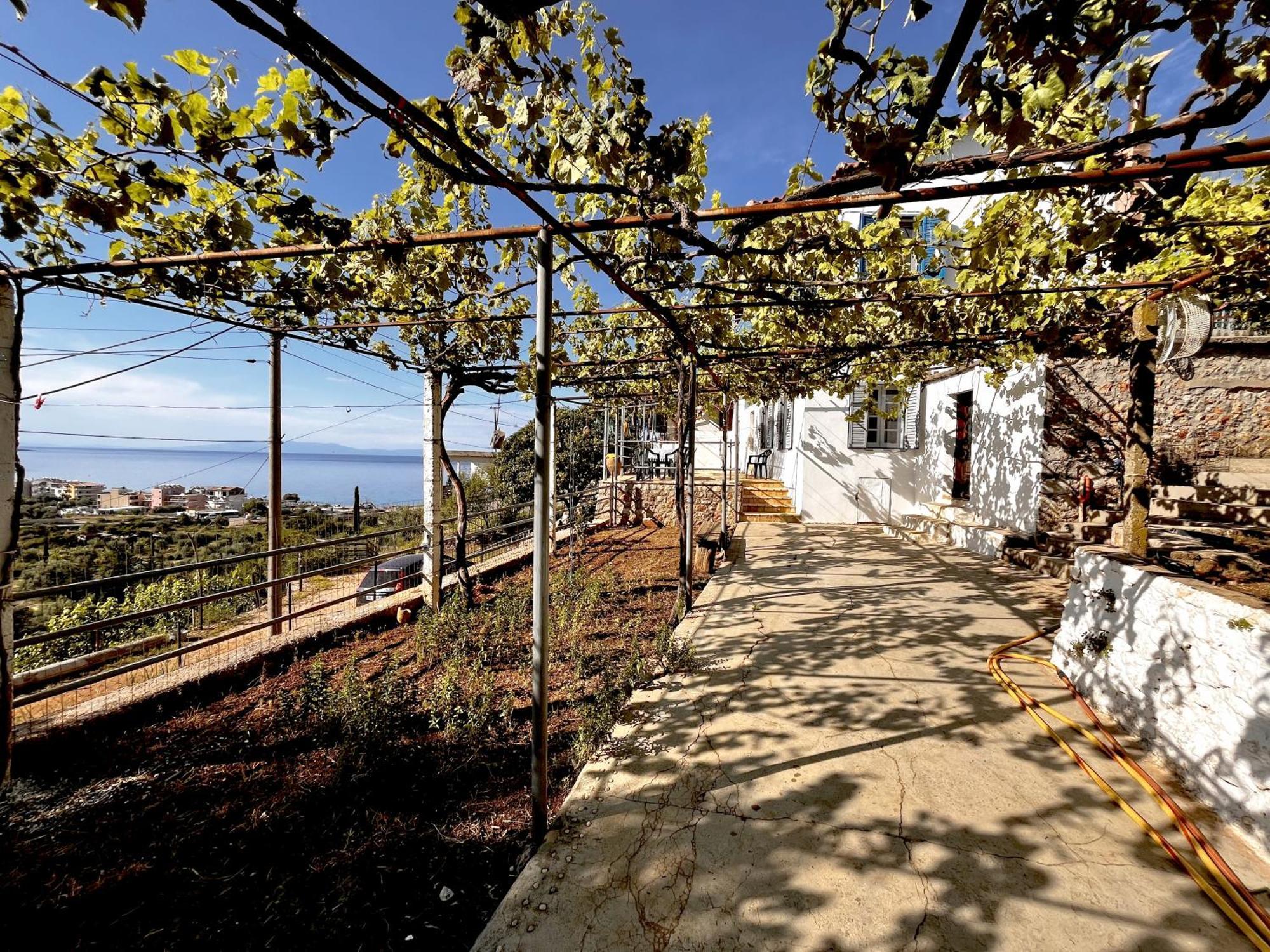 Sea Horizon House Alexis Hotel Himara Kültér fotó
